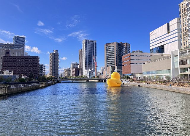 ハイデックス　マーケティング